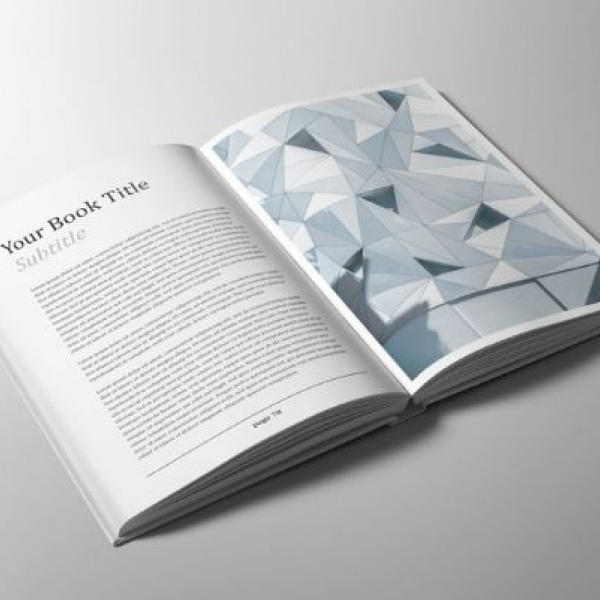 Без названия