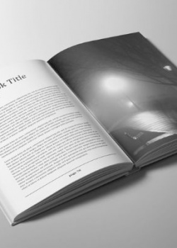 Без названия