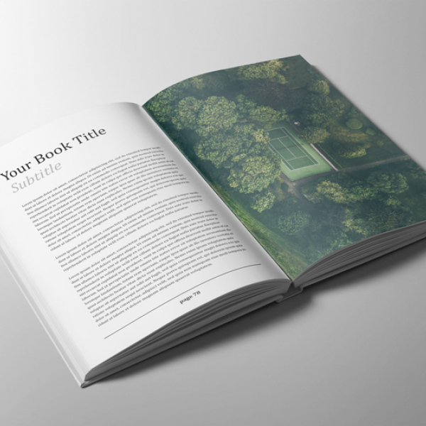 Без названия